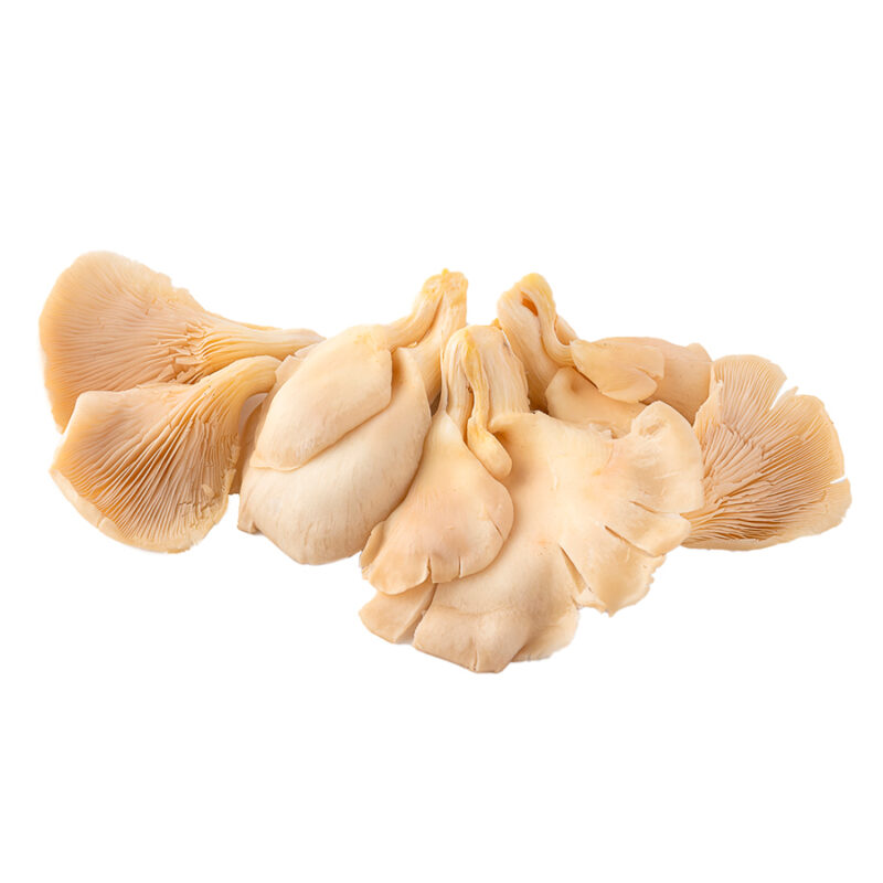 Setas / 500g