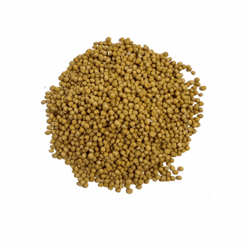 Semilla de Mostaza / 100 g